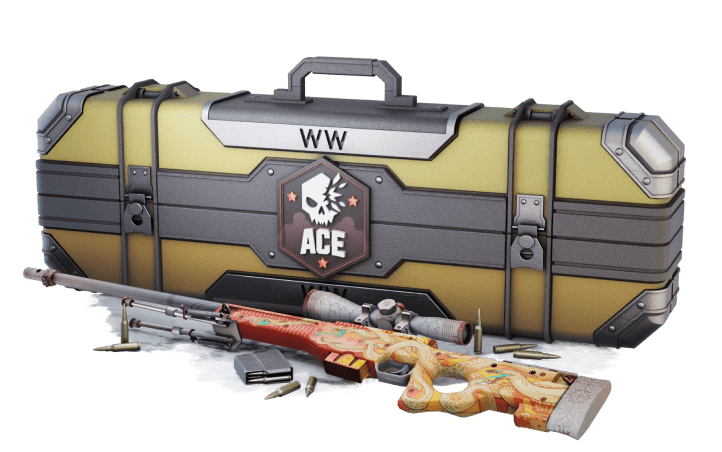 SKINBRO | Open CS2 and CS:GO cases