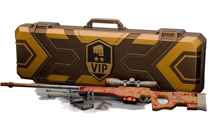 SKINBRO | Open CS2 and CS:GO cases